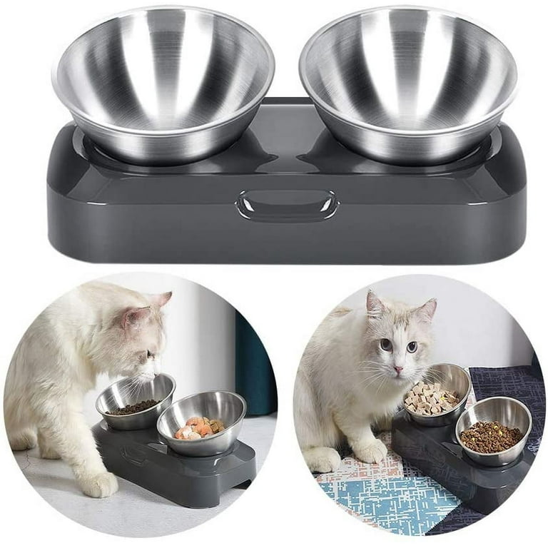 Stainless Steel Elevated Angled Cat Bowl