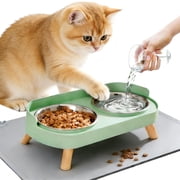 Elevated Cat Bowls with Food Mat, Splash Proof Anti Vomiting Raised Cat Food and Water Bowl Set, 2 Stainless Steel Dishes for Cats and Puppy, Pet Bowl for Indoo