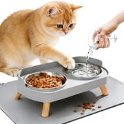 Elevated Cat Bowls with Food Mat, Splash Proof Anti Vomiting Raised Cat Food and Water Bowl Set, 2 Stainless Steel Dishes for Cats and Puppy, Pet Bowl for Indoo