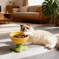 thumbnail image 1 of Elevated Cat Food Bowl, Yellow Raised Cat Feeding & Drinking Bowl with Neck Protection, 250ml Large Capacity Whisker-Friendly Anti-Tip Plastic Pet Bowl for Cats (1pc), 1 of 6