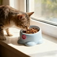 thumbnail image 1 of Elevated Cat Food Bowl for Small Dog, Fat Faced Cat, Kitten, Ceramic Raised and Tilted Water Bowl, Anti Vomiting and Protect Pets' Dishes, 1 of 6