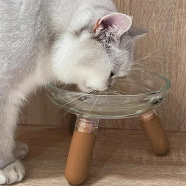Elevated Cat Food and Water Bowl, Clear Plastic, 7" Wide, 3" High, Whisker Fatigue Relief, Ergonomic Design for Neck Support, Non-Slip Base, Dishwasher Safe, Easy Clean Pet Dish