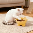 thumbnail image 1 of Elevated Cat Food and Water Bowl | Wide Shallow Dish for Whisker Fatigue Relief | Plastic Pet Feeding Dish with Non-Slip Base | 1-Piece, 1 of 6