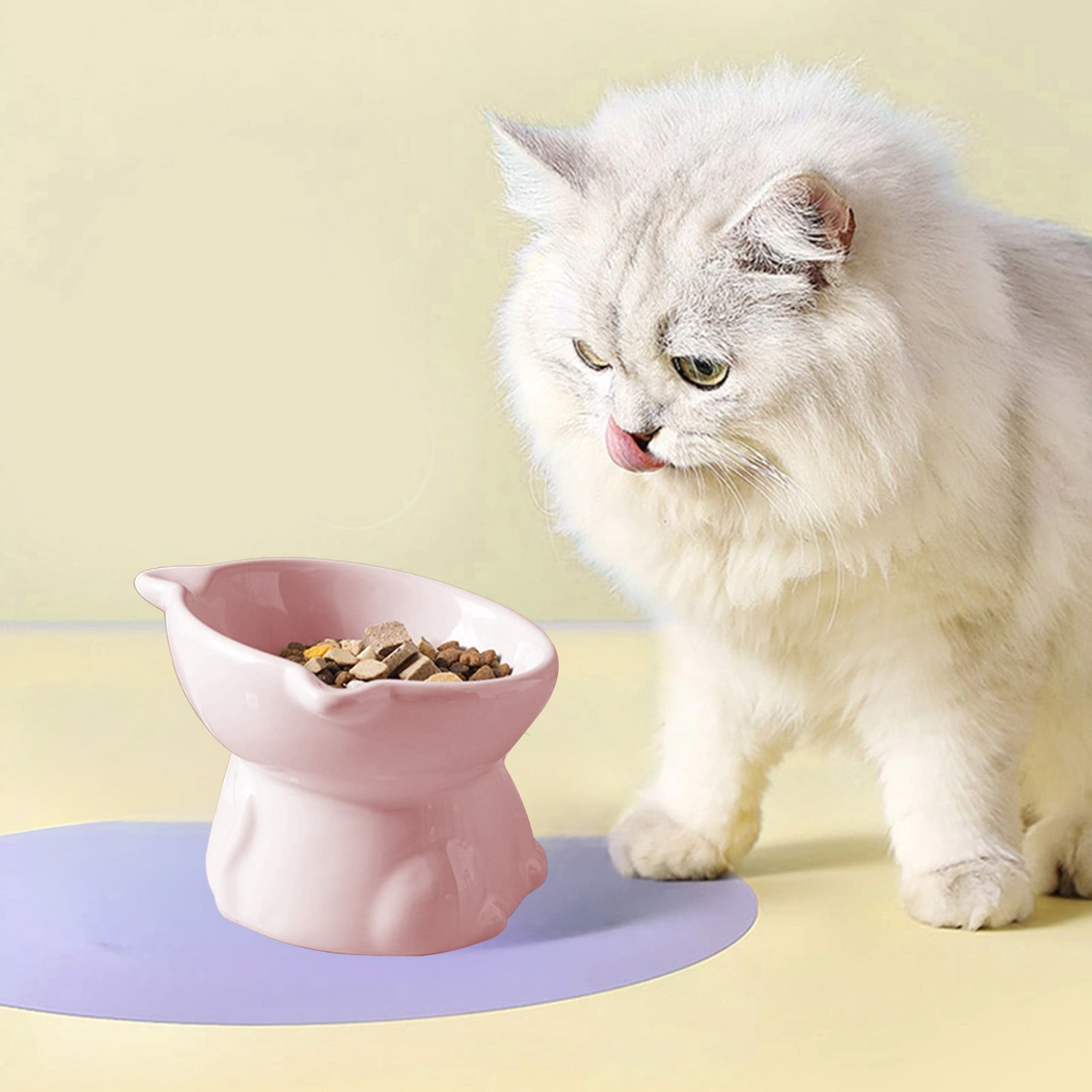 Elevated Cat Food and Water Dish Pet Bowl,Cat Food Dish Ceramic Cat Dishes for Food,Pet Bowls Dog Food and Water Bowl,Cat Must Haves for Indoor Cats