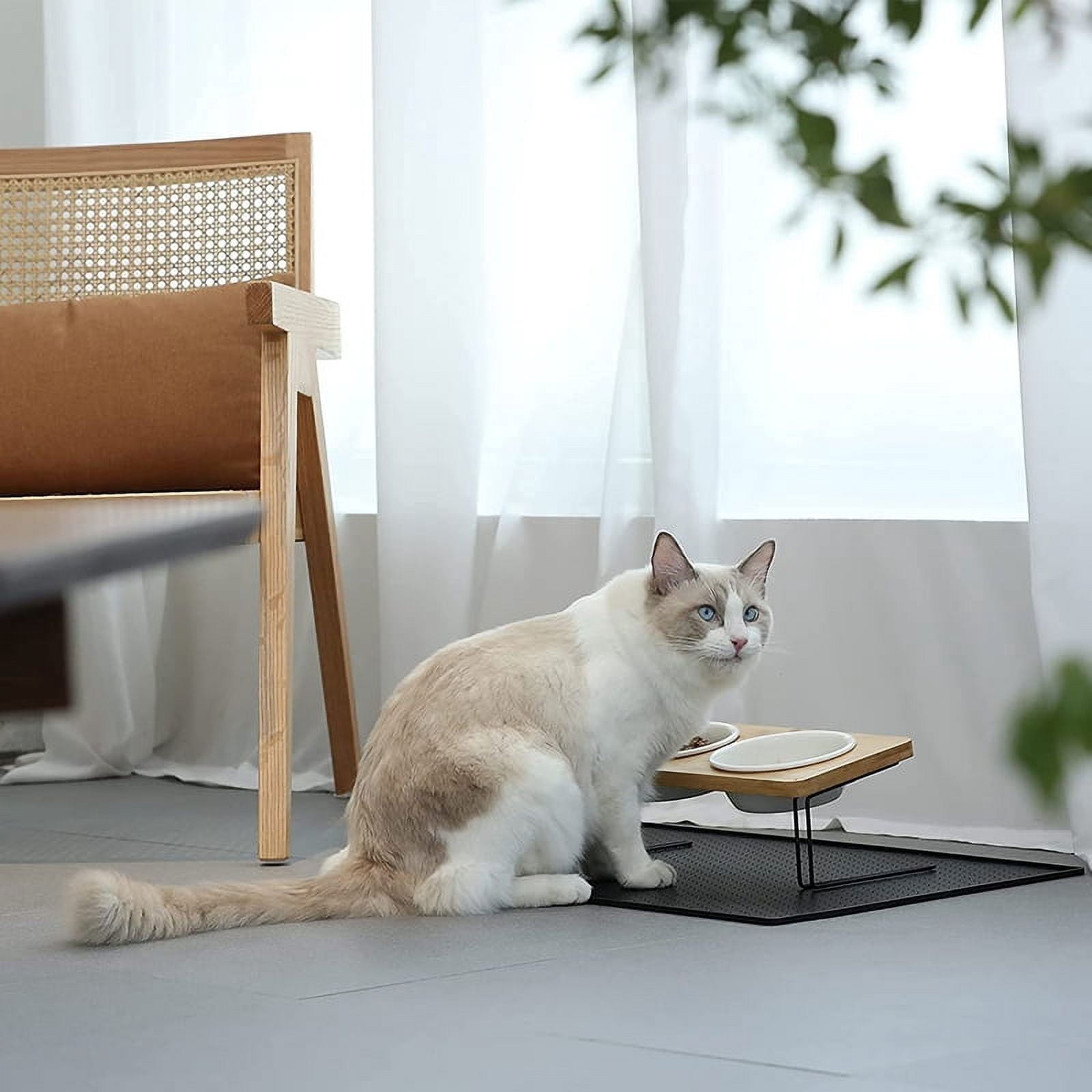Elevated Cats Ceramic Bowls, Small Dog Food Feeding Dishes, Solid Bamboo Water Stand Feeder Set for Cats and Puppy