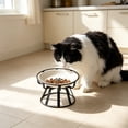thumbnail image 1 of Elevated Ceramic Cat Bowl With Metal Stand Anti Tip Pet Food Water Bowl Cute Pattern Raised Feeding Dish For Small Medium Cats Dogs Prevent Neck Strain Indoor Pet Feeder, 1 of 6