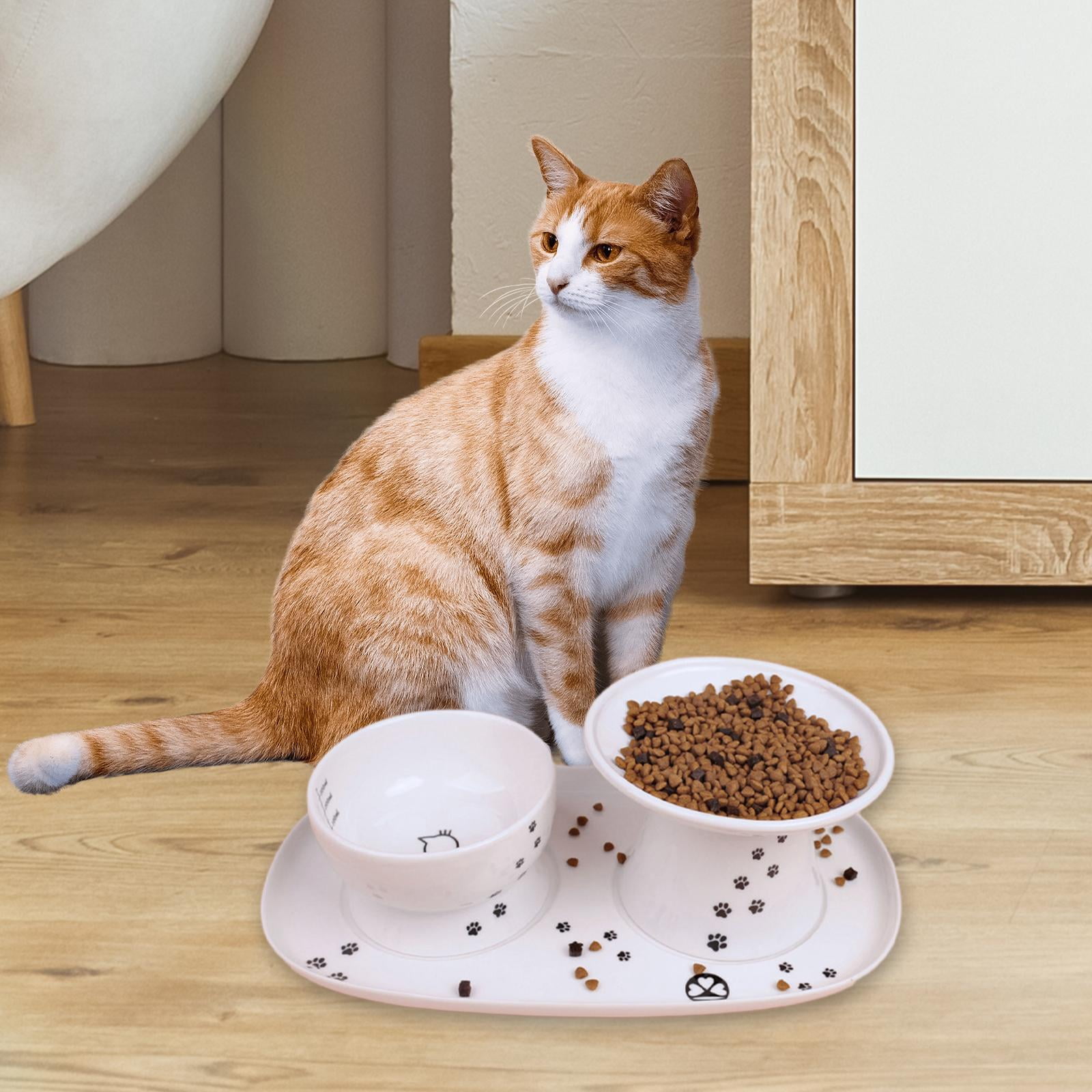 Elevated Ceramic Kitten Feeding Tray Water Bowl Tray Feeding Drinking Elevated Cat Food Bowl Platter Puppy Kitten Accessories