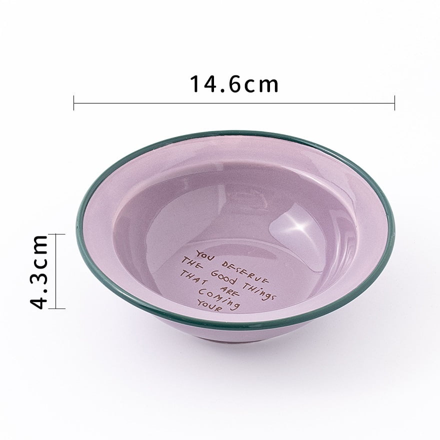 Elevated Ceramic Pet Bowl, Spine Friendly Raised Feeding Bowl, Stylish Food Basin for Cats and Dogs