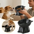 thumbnail image 1 of Elevated Ceramic Pet Feeder Bowl With Non Slip Base Ergonomic Tilted Feeding Station For Cats And Dogs(Black-13X10Cm), 1 of 5