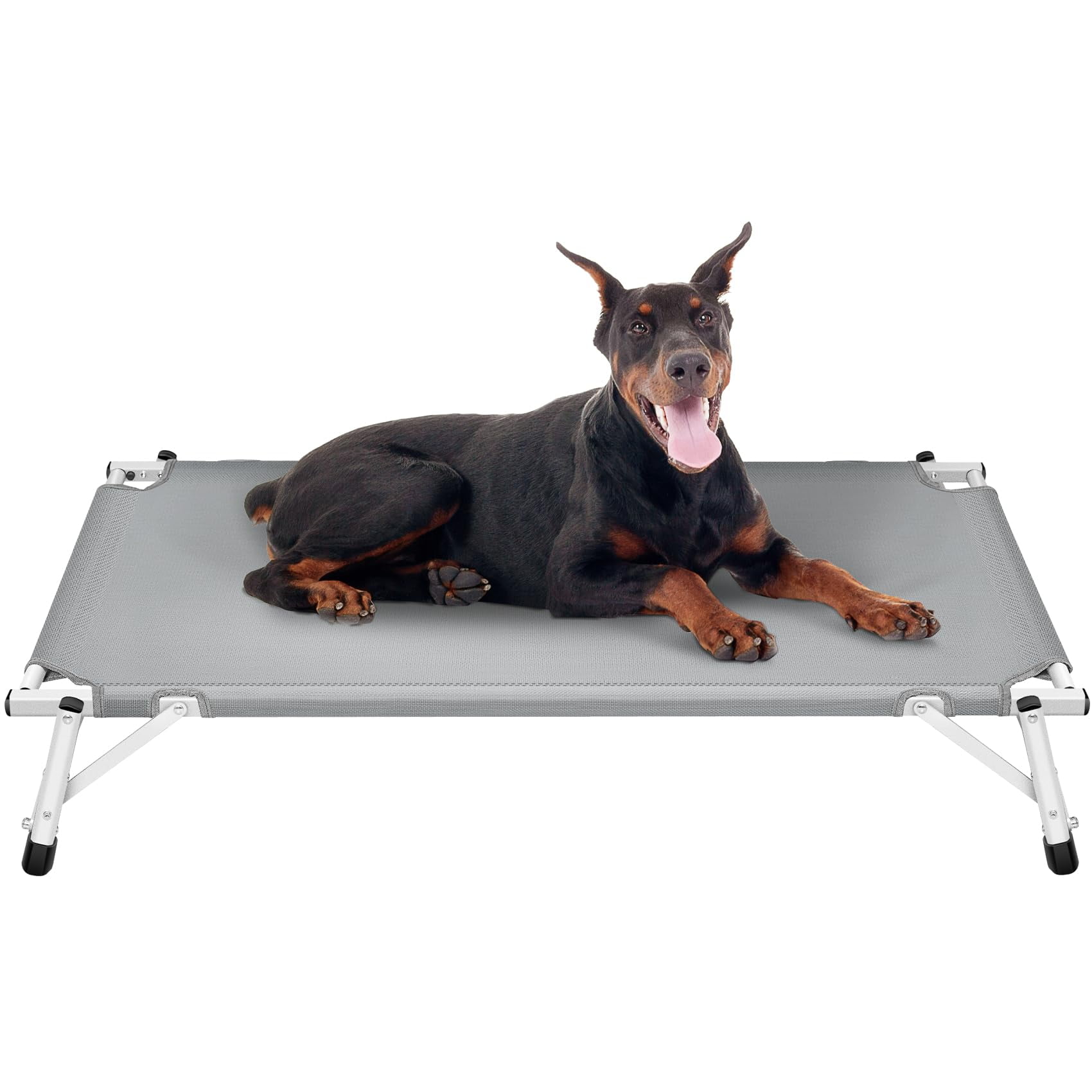 Elevated Cooling Cots Dog Bed Raised Outdoor & Indoor Pet Cot Aluminum Frame and Durable