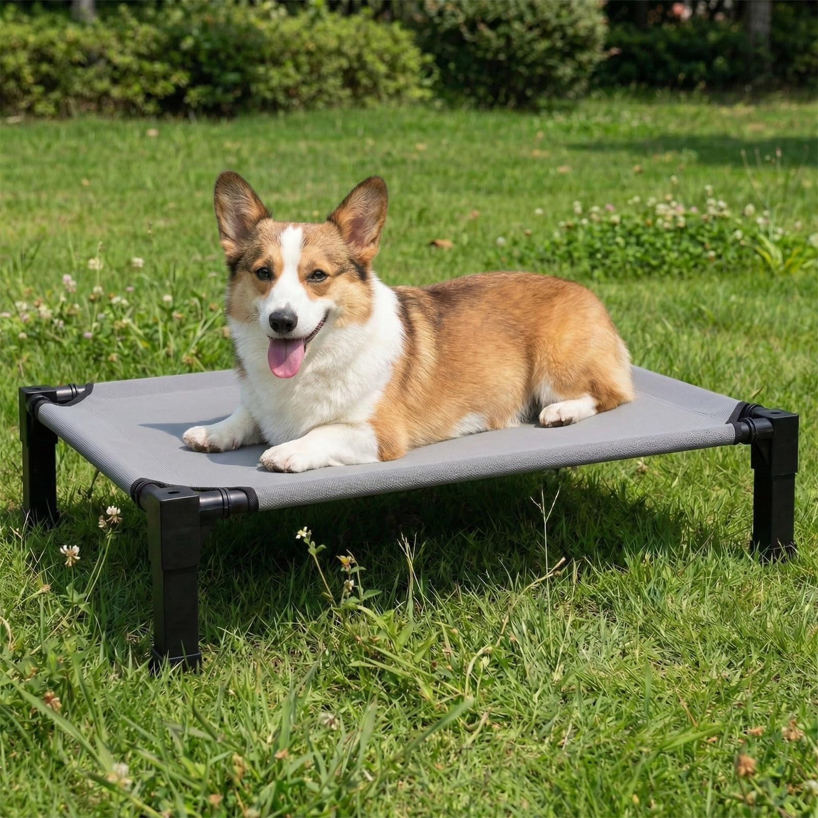 Elevated Dog Bed Raised For Small Dogs  Portable Indoor & Outdoor Pet With No-slip Feets Breathable Mesh Camping