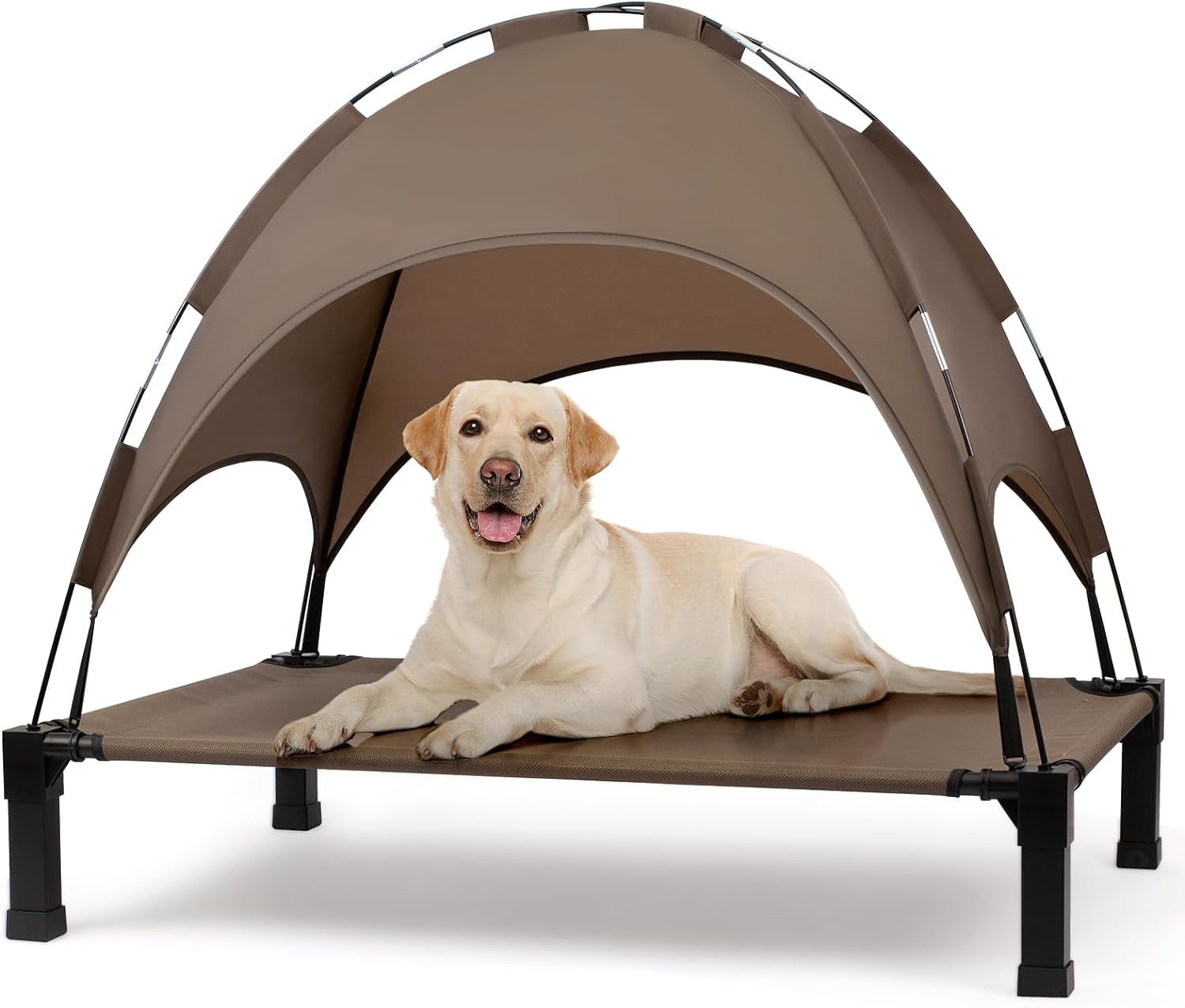 Canopy dog beds for small dogs hotsell