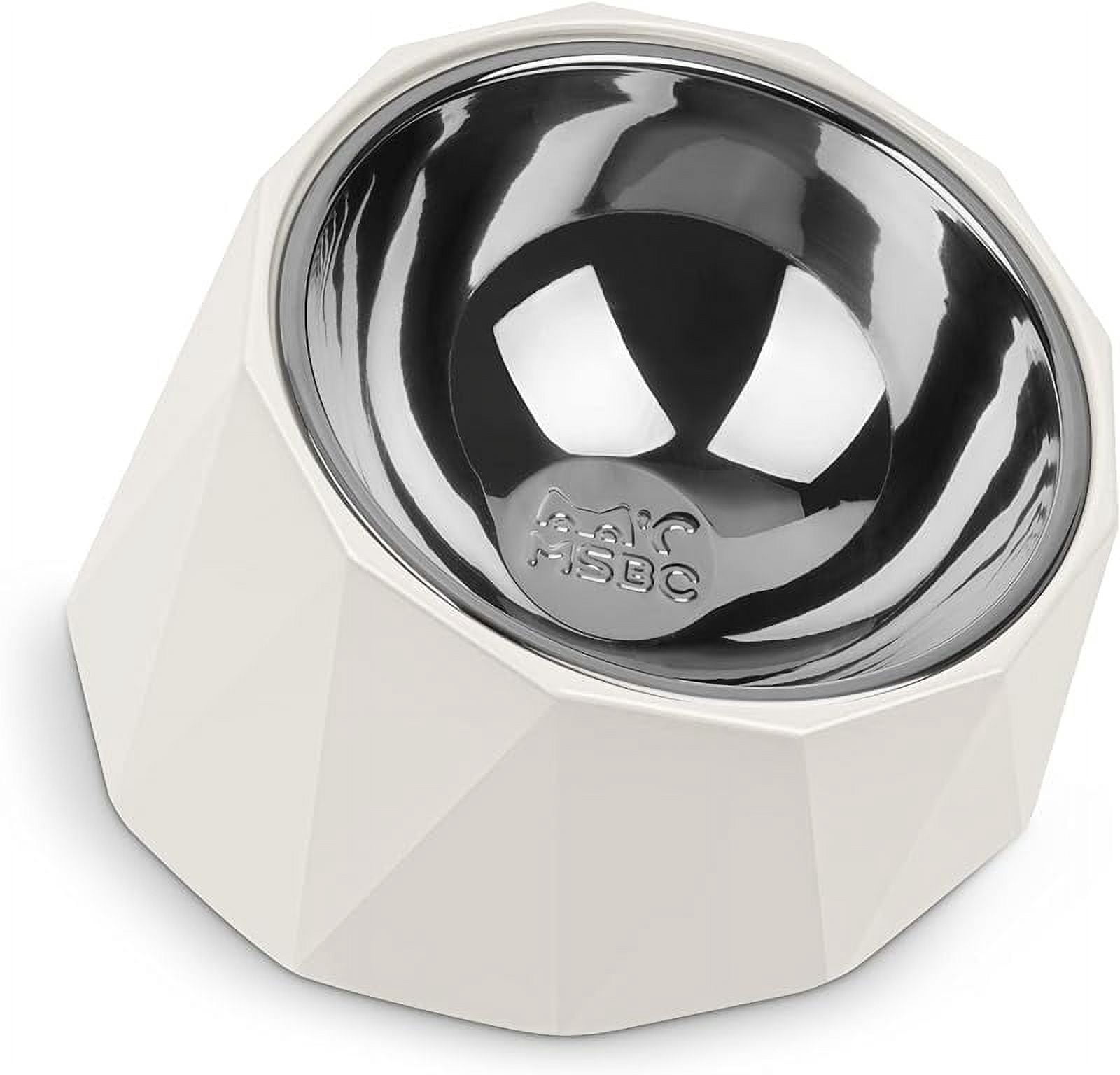 Elevated Dog Bowl for Small Dogs, Tilted Dog Bowl Dog Dish with