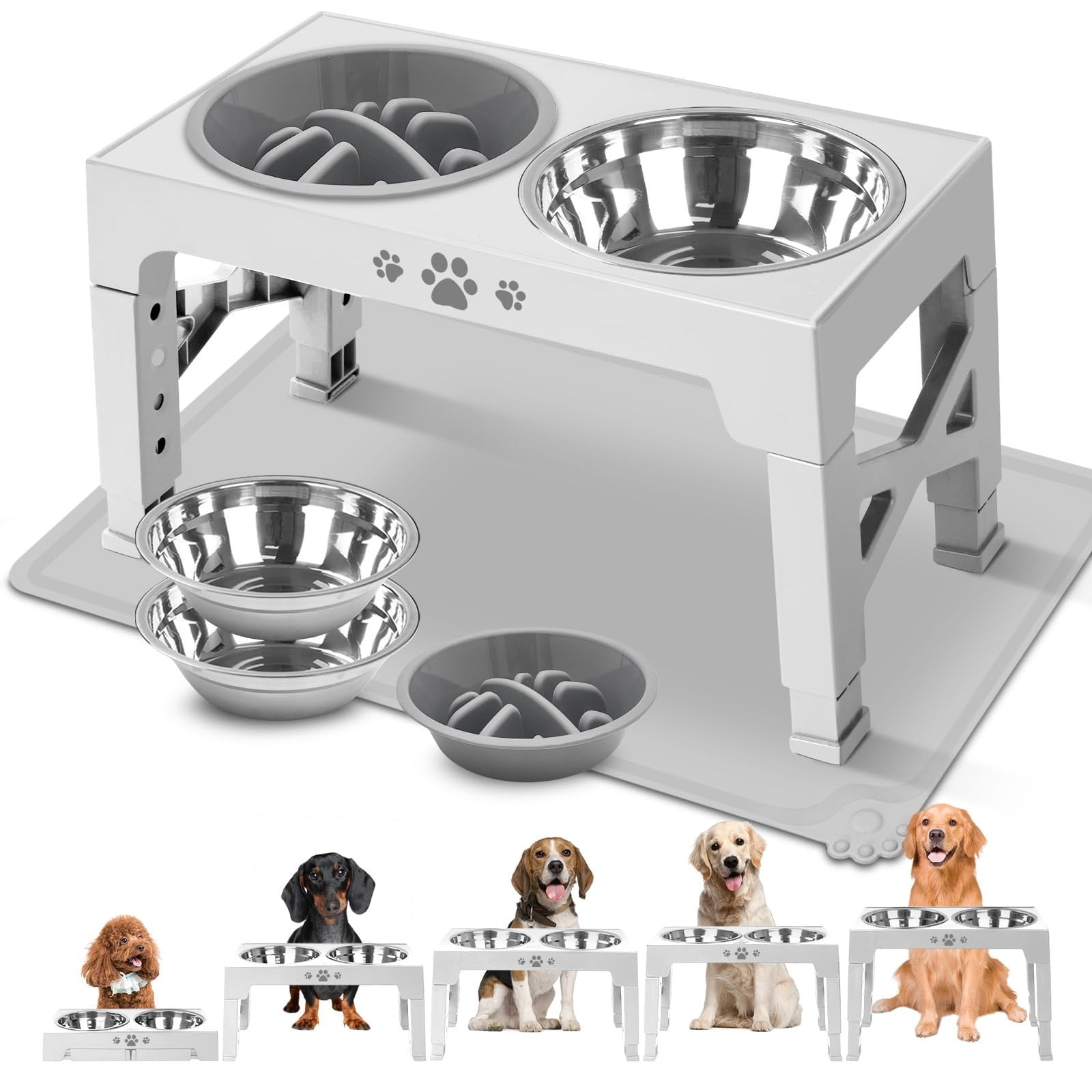 Curated visual reference: Elevated Dog Bowls Dog Feeder With 2 Stainless Steel Dishes Photo Inspiration