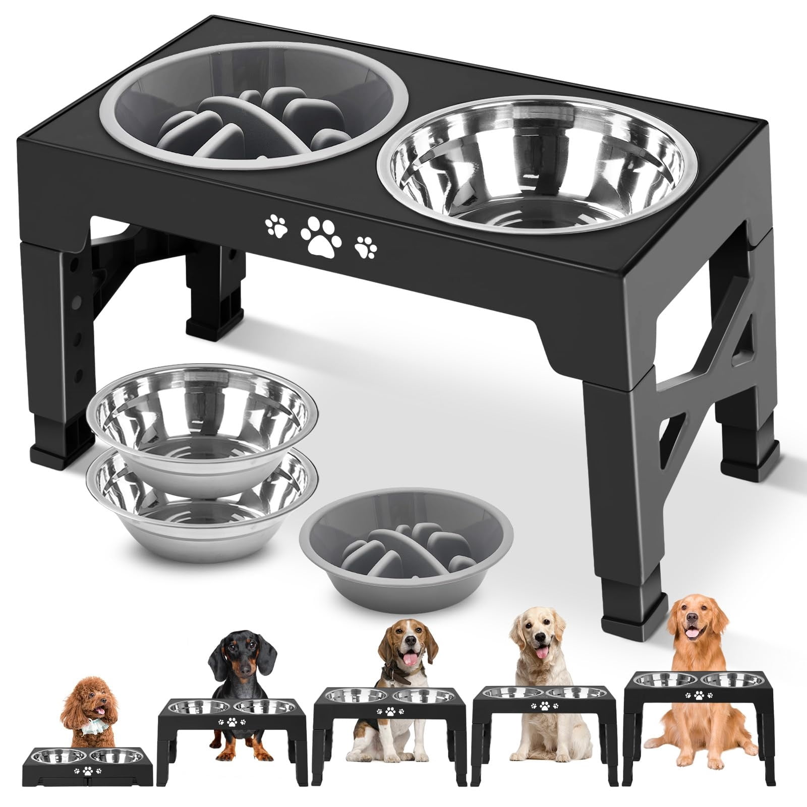 Curated visual reference: Picture Idea: Elevated Dog Bowls Dog Feeder With 2 Stainless Steel Dishes