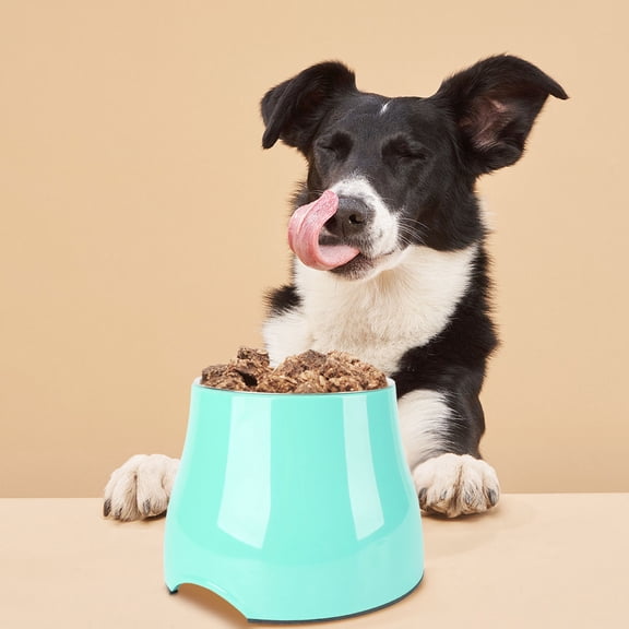 Elevated Dog Bowls for Small & Medium Dogs, Raised Cat Bowls with Stainless Steel Feeder - Non- Pet Food & Water Bowls, High Capacity Durable Indoor Dog Dish, Anti-Tip Design for Cats & Puppies