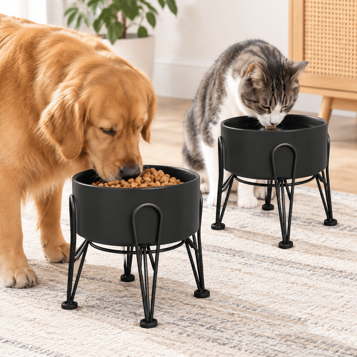 Elevated Dog Ceramic Raised Bowl Set With Anti-slip And Non-tip Metal ...