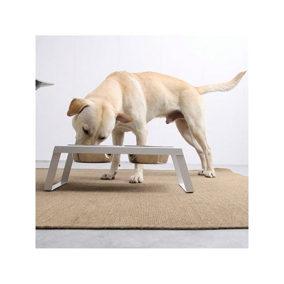 Elevated Dog Food Bowls, Large Dog Water Bowl Stand, Raised Stainless Steel Dog Bowl, Dog Bowl Stand Set