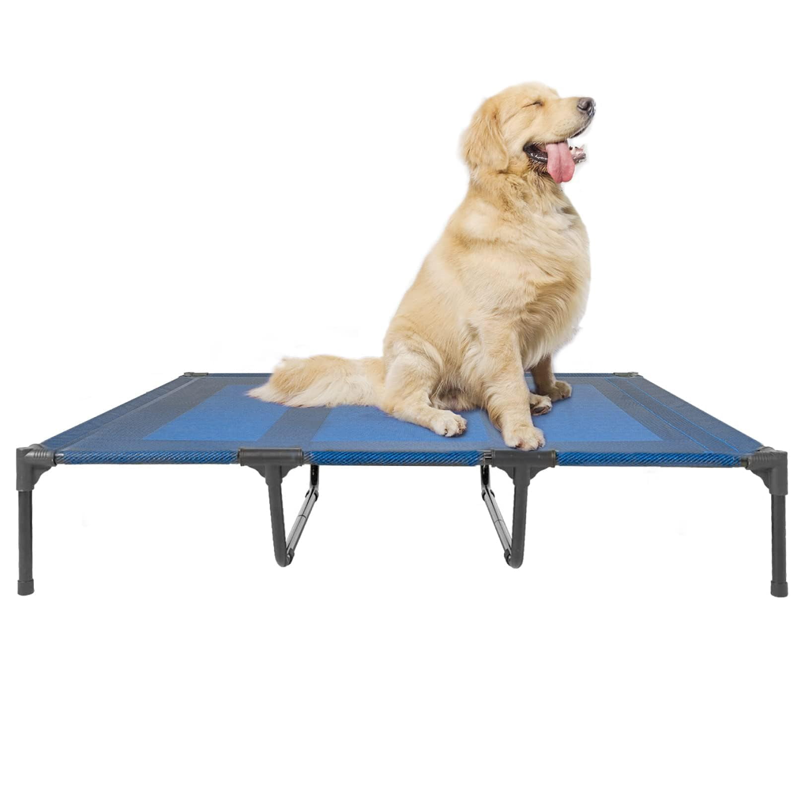 Elevated Dogs Bed Waterproof Outdoor  Portable Raised Dog Beds Off The Floor Easy Clean Indoor Or Use X-large Blue