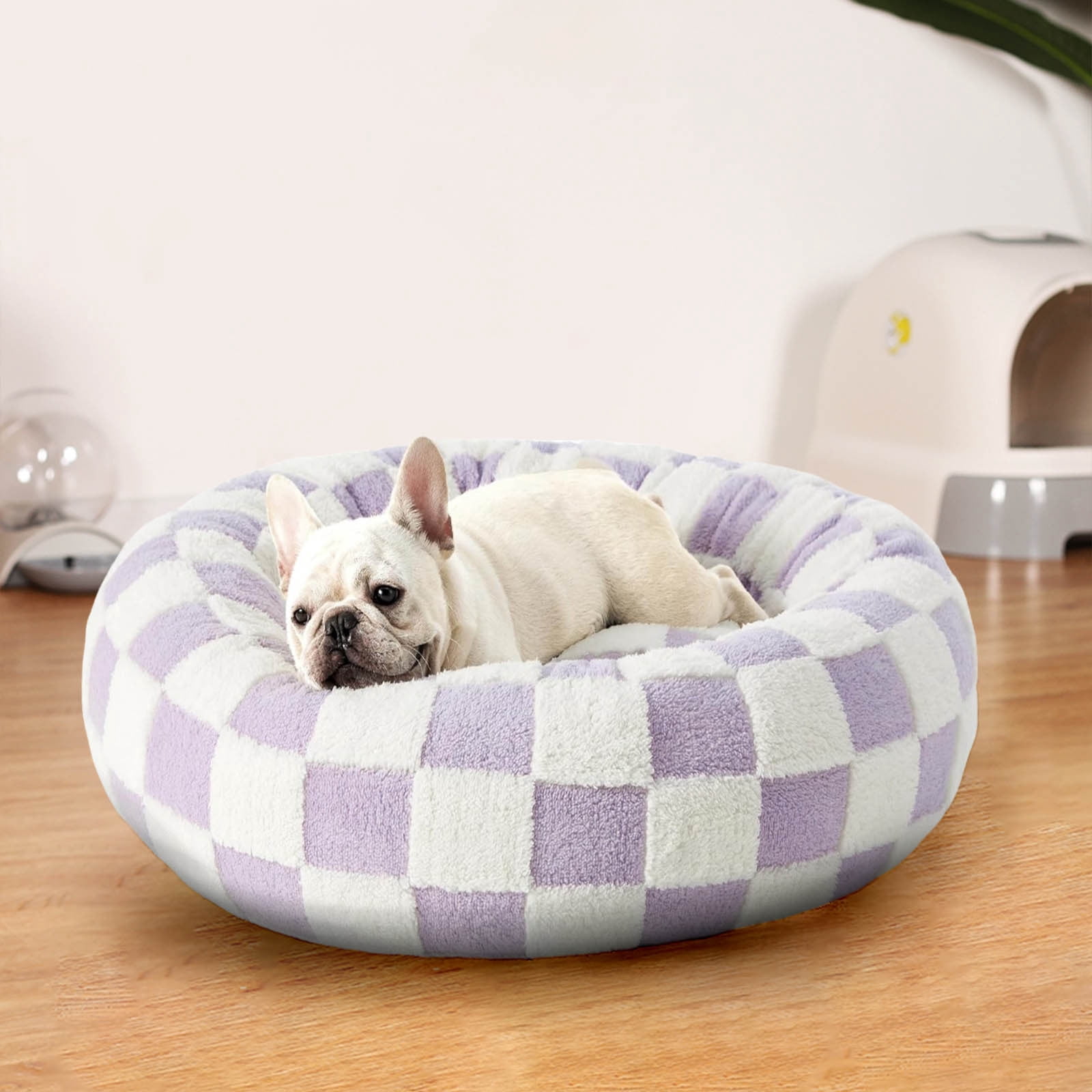 Picture Idea: Elevated Donut Dog Bed For Medium Dogs 50X50Cm