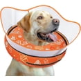 thumbnail image 1 of Inflatable Dog Cone Collar to Prevent Licking, Soft Recovery Donut Collar for Dogs, Adjustable Post-Surgery Alternative for Dogs, 1 of 7