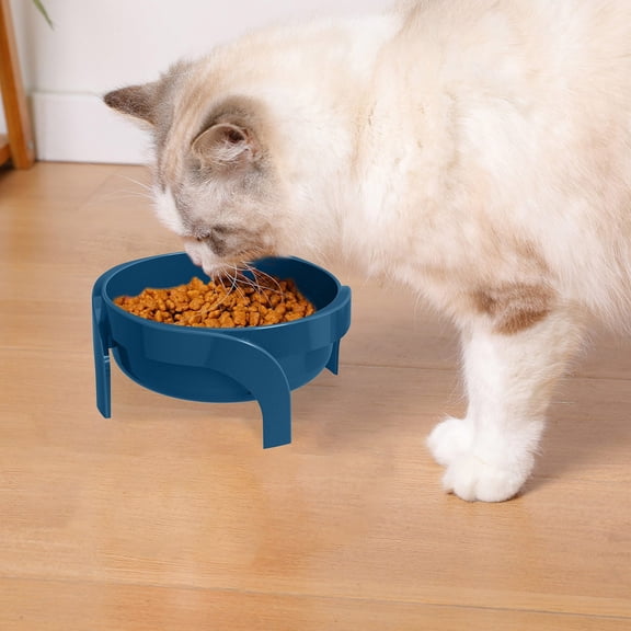 Elevated Pet Bowl with Spine Design High Feet Cute Dog Cat Food and Water Feeder Dish for