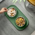 thumbnail image 1 of Elevated Pet Bowls, 15° Tilted Glass Raised Pet Food Bowl, 2 Large Capacity Cat Bowls,Anti Slip Feet, Suitable for Cats and Little Dogs | Green, 1 of 7