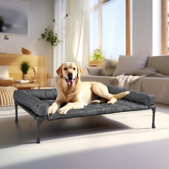 Elevated Pet Cot with Breathable Mesh and Non-Slip Feet, Black, 42x30 Inches