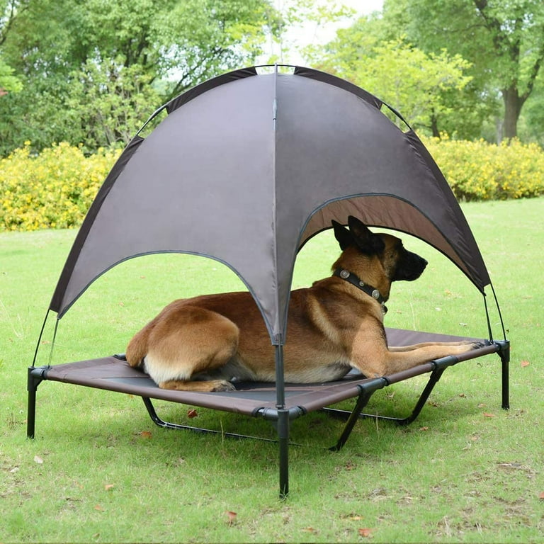Double cot dog hot sale