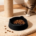 thumbnail image 1 of Elevated Plastic Cat Bowl - Anti-Tip, Whisker-Friendly Feeding Dish for Cats, Large Capacity Black, 1 of 6