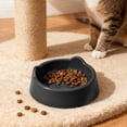 thumbnail image 1 of Elevated Plastic Cat Bowl - Anti-Tip, Whisker-Friendly Feeding Dish for Cats, Large Capacity Dark Gray, 1 of 6