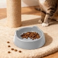 thumbnail image 1 of Elevated Plastic Cat Bowl - Anti-Tip, Whisker-Friendly Feeding Dish for Cats, Large Capacity Gray, 1 of 6