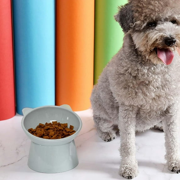 Elevated Raised Cat Bowl Feeding Station Kitten Dishes Non Slip Stand for Dog Feeding Puppy Travel Kittens Small Dogs , Grey Option 5