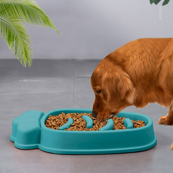 Elevated Slow Feeder Dog and Cat Bowls for Large Mealtime Solutions