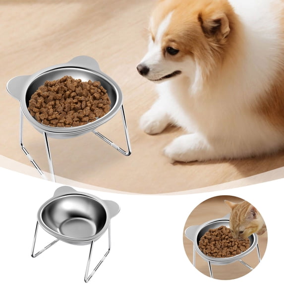 Elevated Stainless Steel Cat and Dog Bowls on Metal Stand for Indoor Use - Raised Food and Water Dishes for Small Cats and Puppies