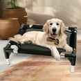 thumbnail image 1 of Elevated Stainless Steel Dog Cat Bed Raised Pet Cot Mesh Breathable Anti Slip Durable Portable Washable Sleeping Platform, Raised Pet Cot Design For Indoor Outdoor Cats Dogs All Season Use, 1 of 6
