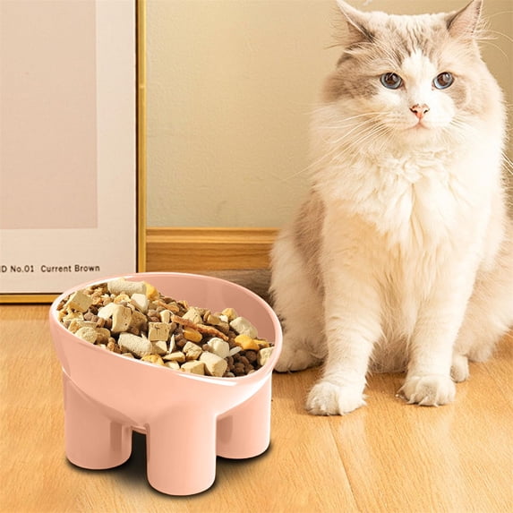 Elevated Tilted Pet Bowl, Ergonomic Raised Feeding Dish For Small Dogs And Cats, Non-Slip Tilted Food Water Bowl, Raised Design For Comfortable Eating Posture