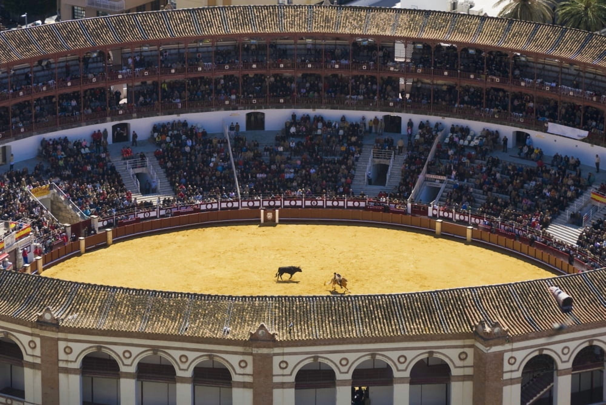 Elevated View Of Bullring Canvas Art - Ian Cumming Design Pics (38 x 24)