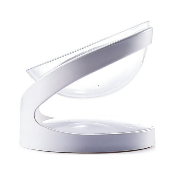 Elevated for Bowls Small Dog 18 Tilted Raised Feeding Dish Solid Plastic Stand Feeder Set for Cats and Puppy