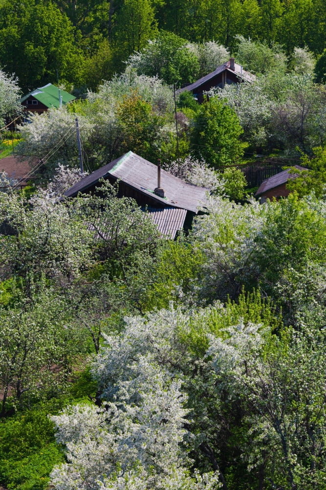 Elevated town view from Goritsky Monastery Pereslavl-Zalessky Yaroslavl Oblast Russia Canvas Art - Panoramic Images (36 x 12)