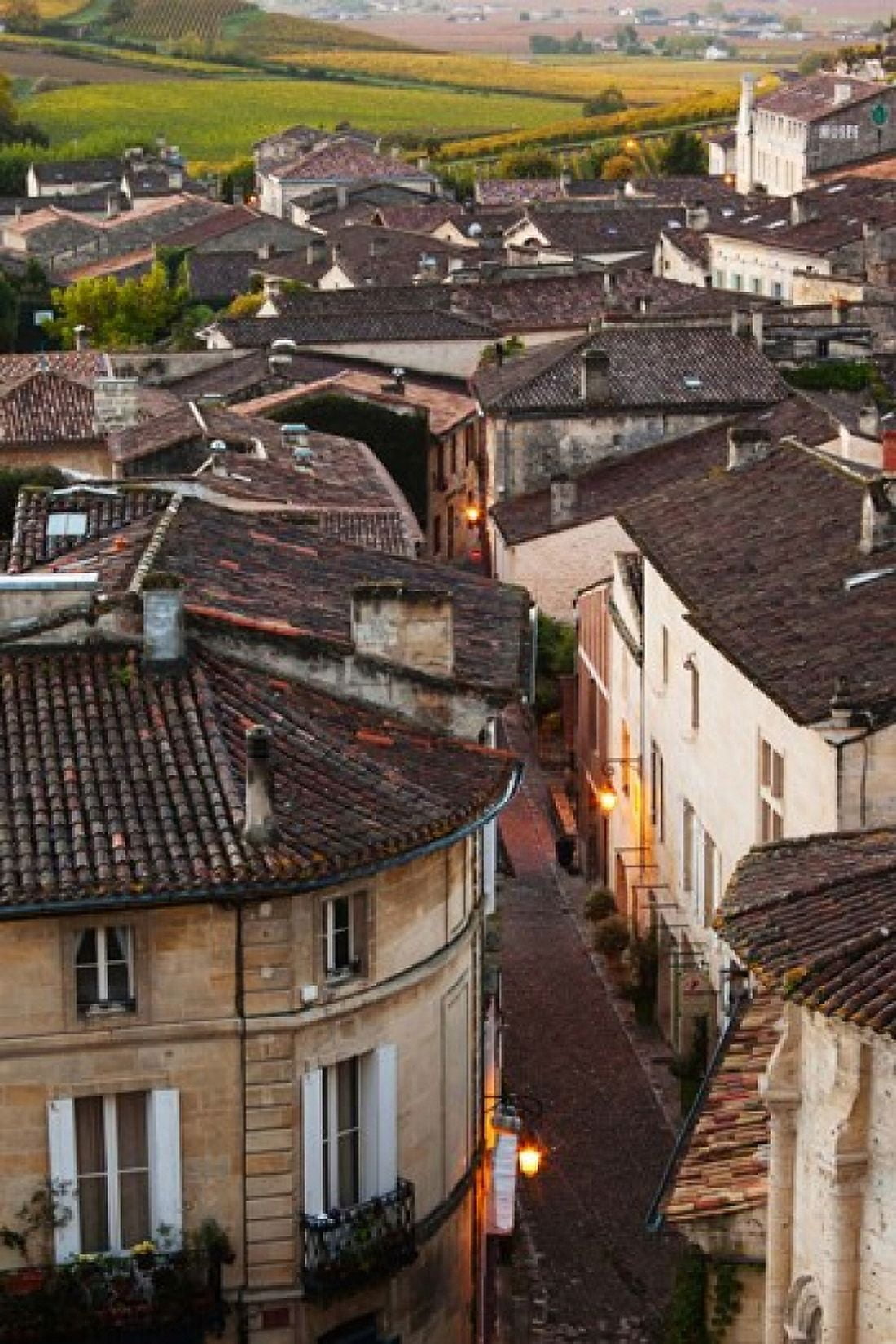 Elevated town view with vineyards Saint-Emilion Gironde Aquitaine France Canvas Art - Panoramic Images (24 x 36)