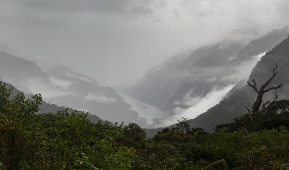 Elevated view of Doubtful Sound from Wilmot Pass Fiordland National Park Southland District South Island New Zealand Canvas Art - Panoramic Images (24 x 40)