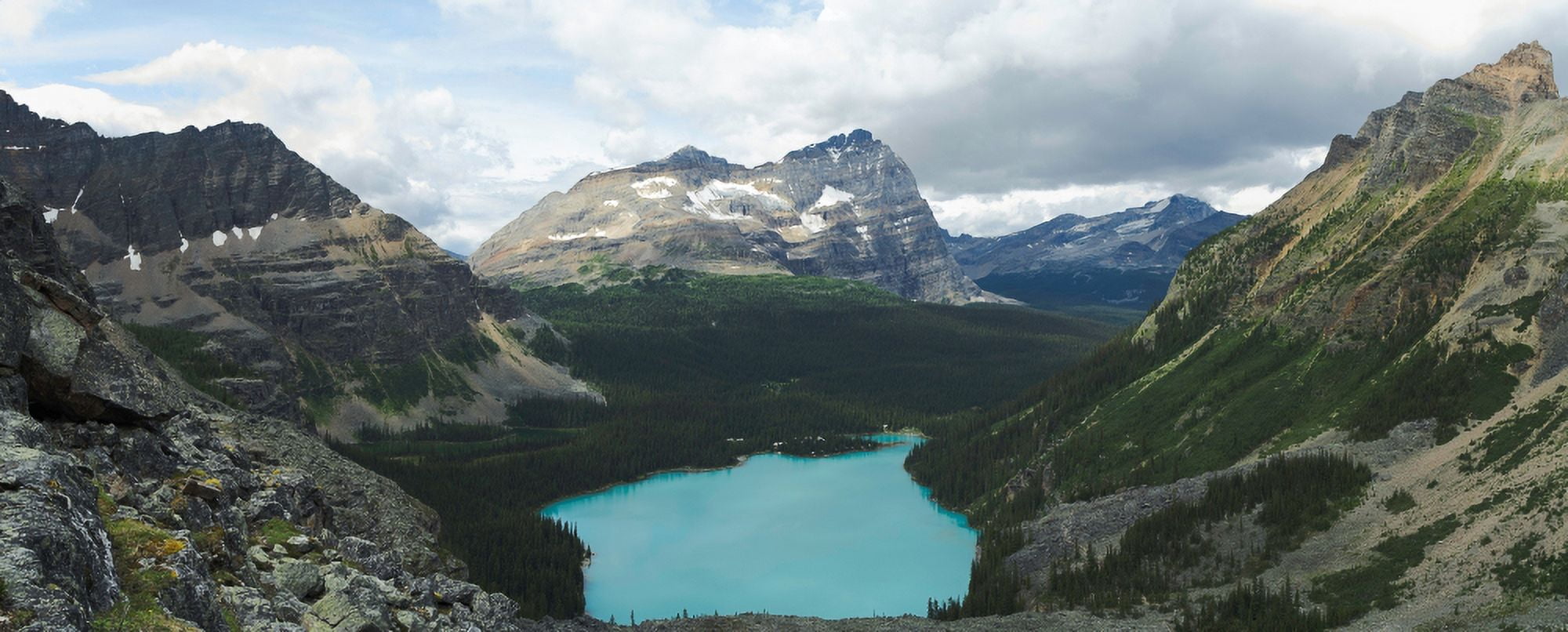 Elevated view of Lake OHara with Mount Odoray in the background Yoho National Park Field British Columbia Canada Canvas Art - Panoramic Images (12 x 30)