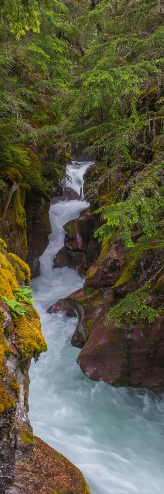 Elevated view of a creek McDonald Creek US Glacier National Park Montana USA Canvas Art - Panoramic Images (6 x 18)