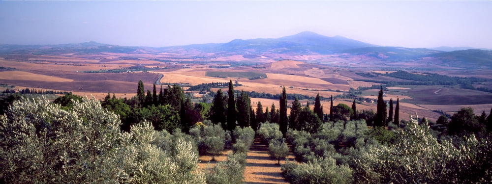 Elevated view of a landscape Pienza Siena Province Tuscany Italy Canvas Art - Panoramic Images (27 x 9)