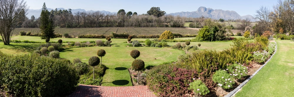 Elevated view of a vineyard Franschhoek Valley South Africa Canvas Art - Panoramic Images (12 x 36)