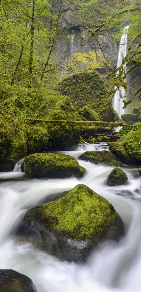 Elevated view of a waterfall Elowah Falls Columbia Gorge National Scenic Area Oregon USA Canvas Art - Panoramic Images (27 x 9)