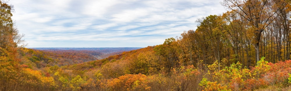 Elevated view of autumn trees Brown County State Park Brown County Indiana USA Canvas Art - Panoramic Images (12 x 36)