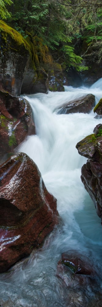 Elevated view of creek flowing through rocks Avalanche Creek US Glacier National Park Montana USA Canvas Art - Panoramic Images (12 x 36)