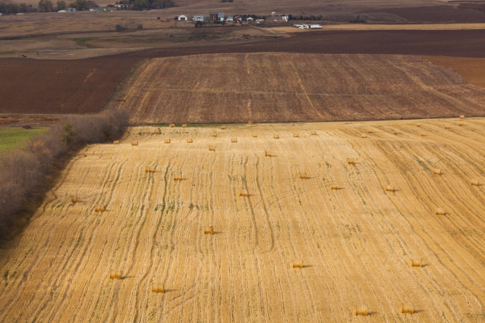 Elevated view of farm field New Salem Morton County North Dakota USA Canvas Art - Panoramic Images (24 x 36)